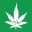 Rocky Mountain Cannabis