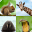 Animal Quiz: Guess the Animal