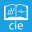 CIE 10 y 11 (Español) 6.10-google