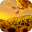 Video Wallpapers: Sunflowers H 7.0