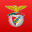 SL Benfica Official App