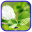 Leaf Photo Frames, Effects 1.5