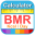 BMR Calculator