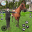 Horse Life Simulator Games 3D