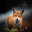 Fox Wallpapers 1.1