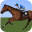 Horse Racing 3D 2016