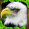 Eagle Simulator 1.1