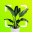 Plant Identifier: Snap scanner 0.3.9