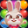 Bunny Pop! 24.0425.00