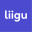 Liigu mobility