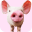 Pig Sounds