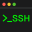 Terminal & SSH