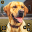 Dog Life Simulator Pet Games