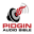 Pidgin Audio Bible