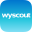 Wyscout