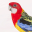 Parrot sounds! 1.0.3