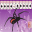 Spider Solitaire X